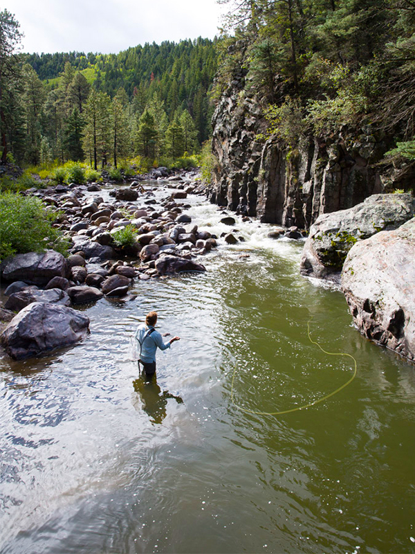 A picture of a person fly fishing in the Rio Brazos at Corkins Lodge