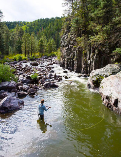 Man fly fishing in river in waders with boulders on shore and pine trees