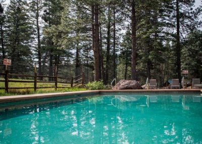 Swimming pool with pine trees