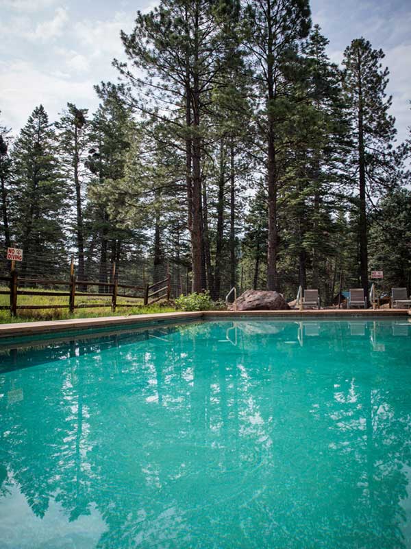 Swimming pool with pine trees