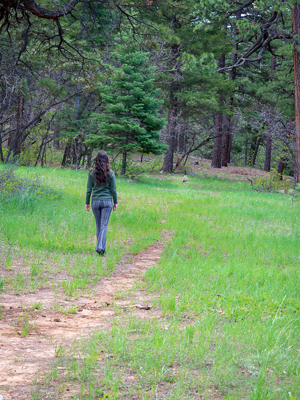Woman walking through a meadow to a pine tree forest on a trial.