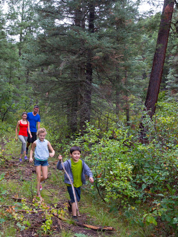 A family hiking on a forest trail near Corkins Lodge
