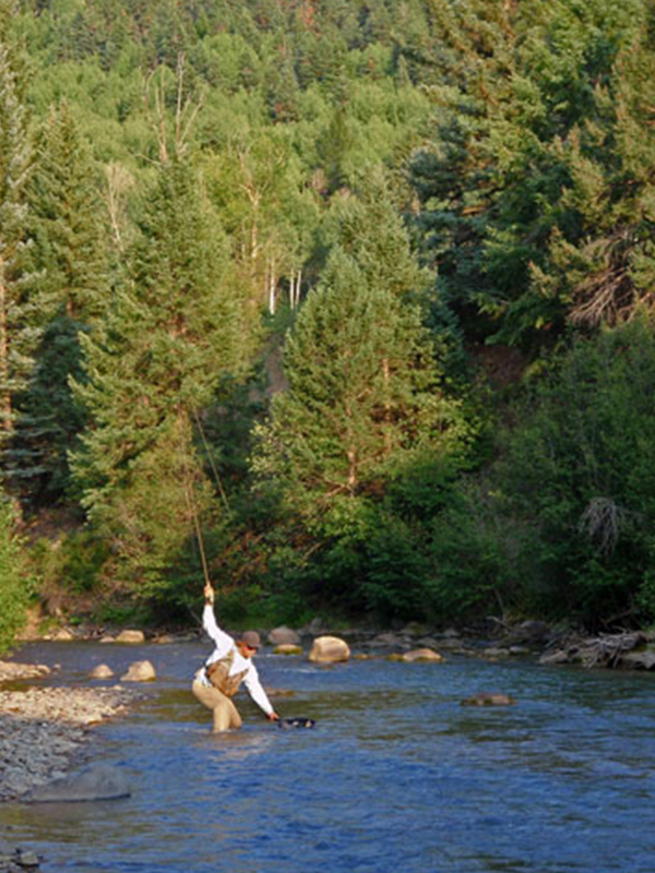 Man in waders in river with fishing net and pole pine trees in background