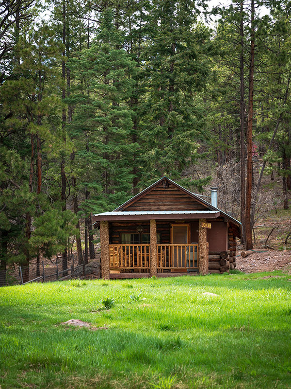 Log cabin with green grassy meadow in front and pine trees in back