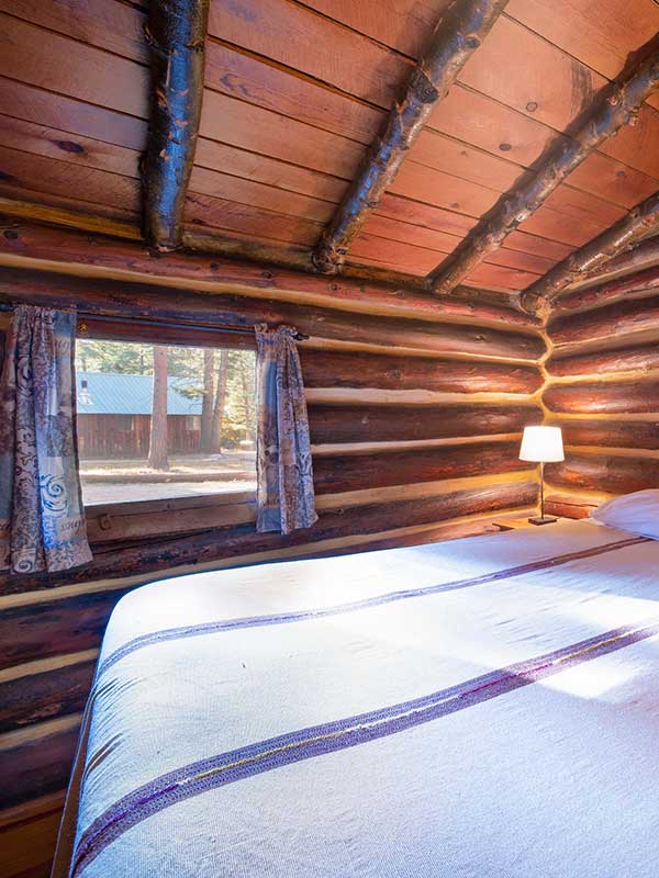 Bed in room with window and log walls