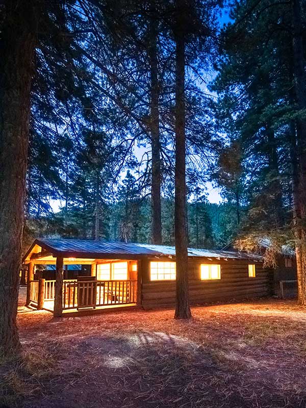 Exterior of log cabin at dusk with giant pine trees