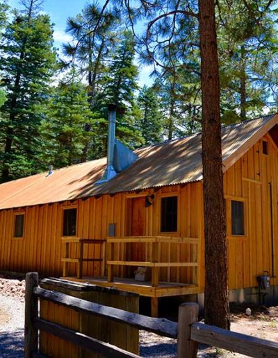 Exterior of wooden cabin with pine trees