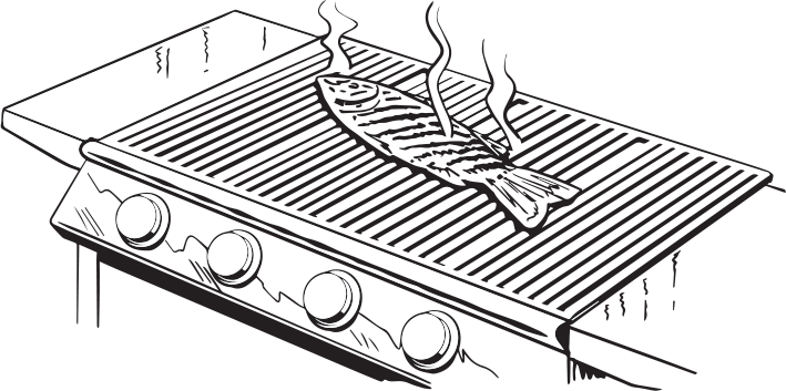 BBQ Grill with Fish illustration