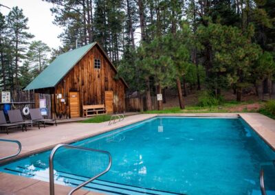 Swimming Pool at Corkins Lodge surrounded by pine trees