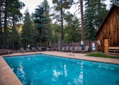 Swimming Pool at Corkins Lodge surrounded by pine trees