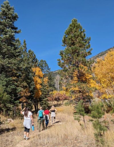 Four women hiking among pine trees and aspens in the mountains