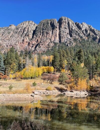 Brazos cliffs in the background with golden aspens and tall pine trees