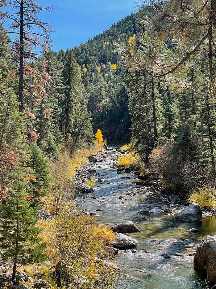 Brazos river with golden aspens and tall pine trees