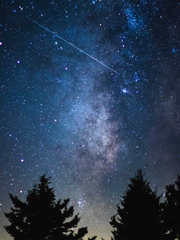 Stars and Milky Way at night with dark pine trees